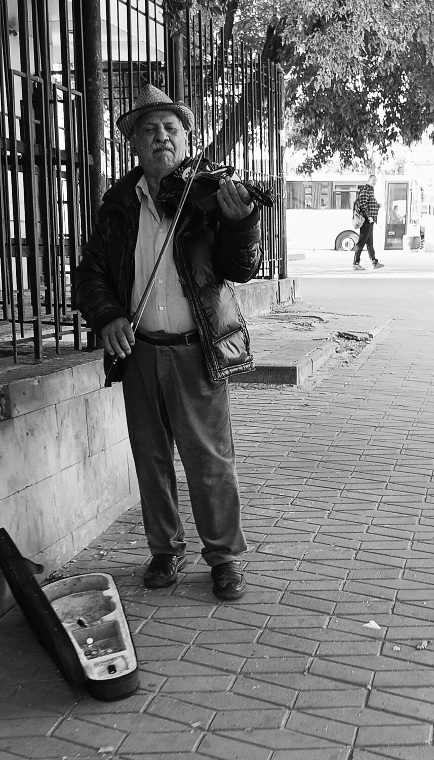 Photo #14083076