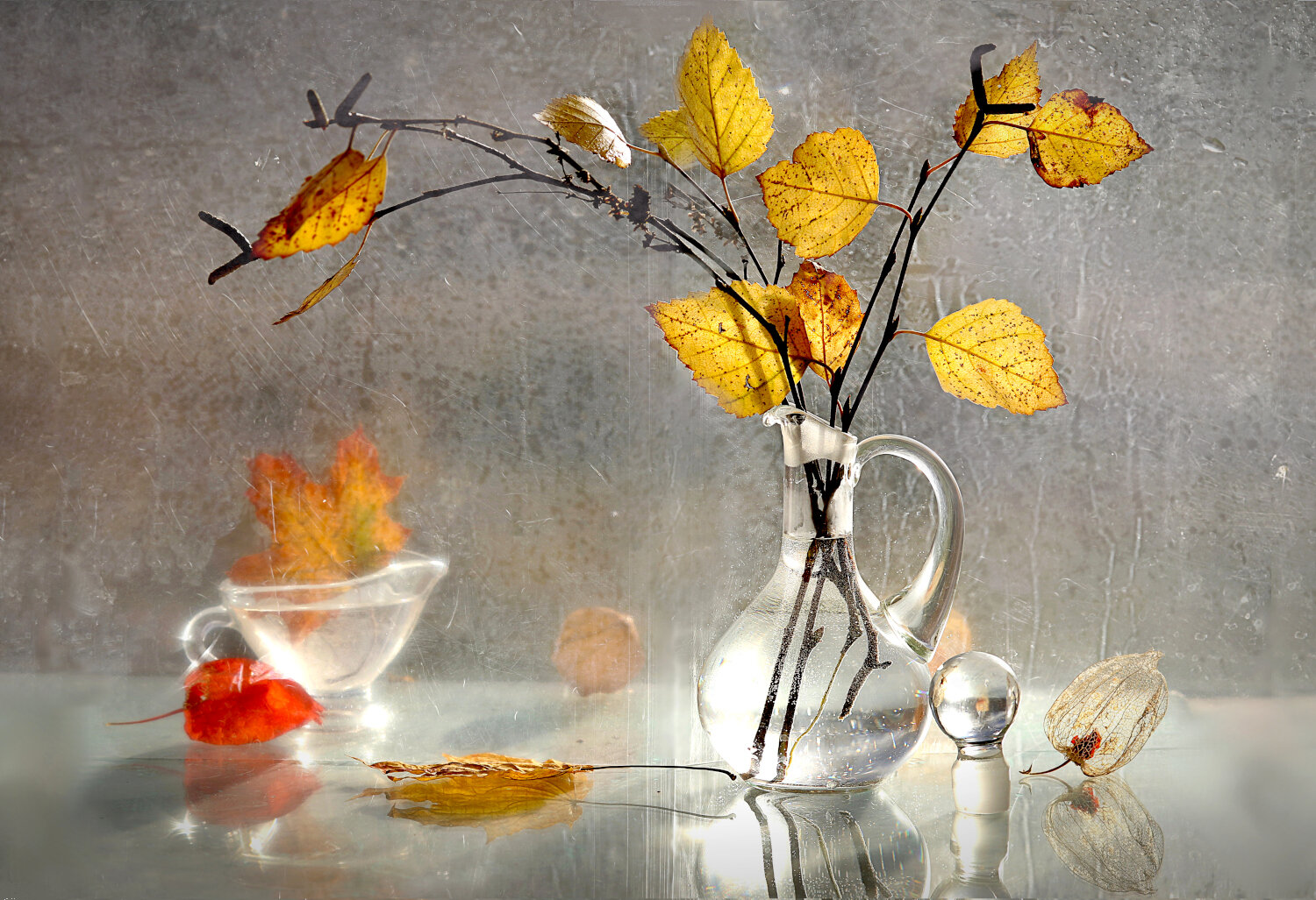 Photo #14083098