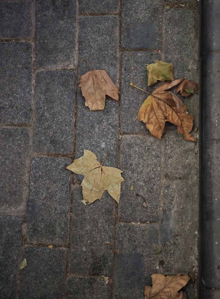 Photograph by Вера Красюкова