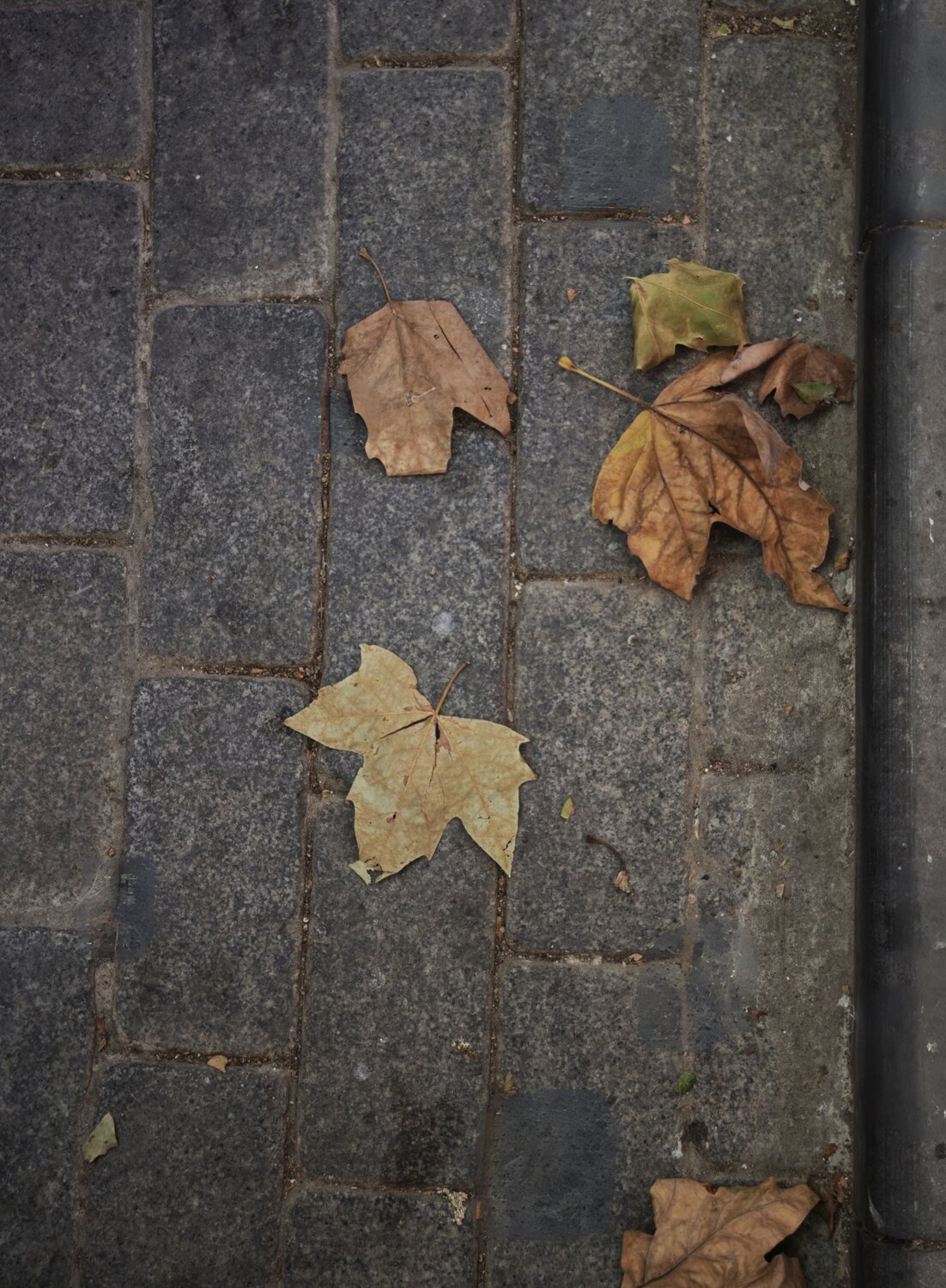 Photo #14083103