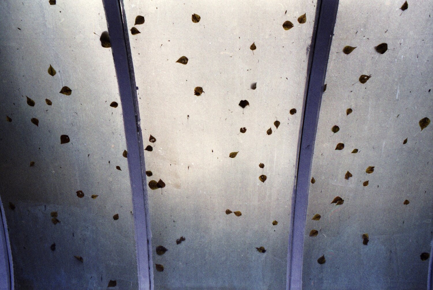 Photo #14083128