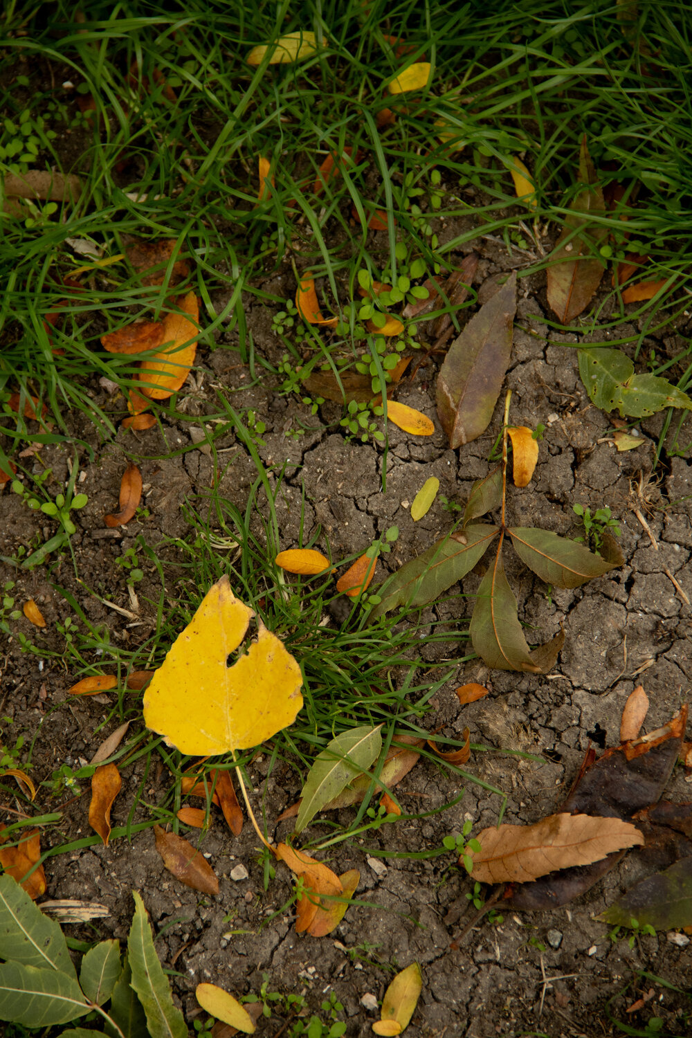 Photo #14083130