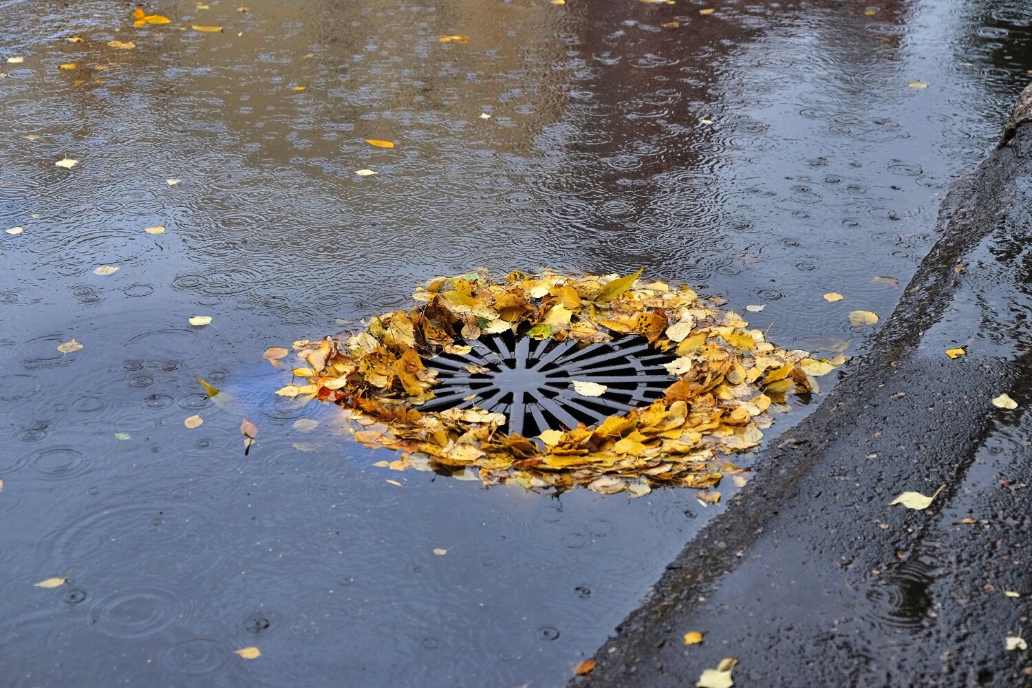 Веночек