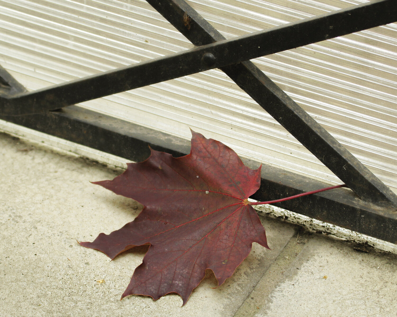 Photo #14083173