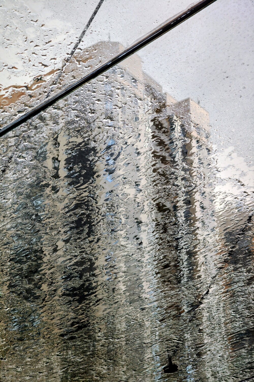 Photo #14083186