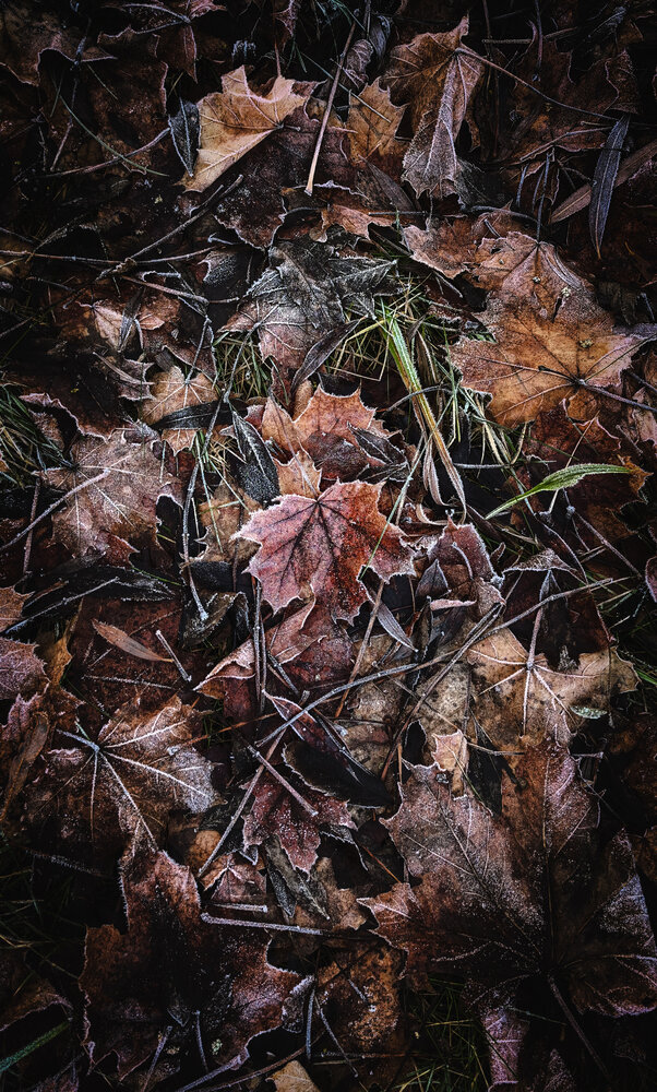 Photograph by Инна Невар