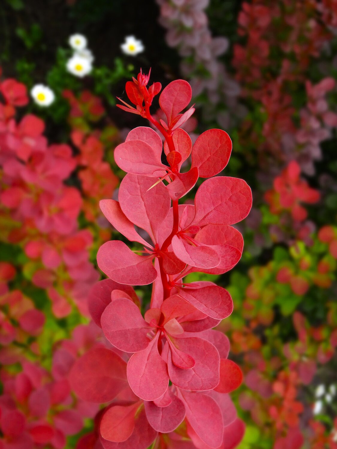 Photo #14083205