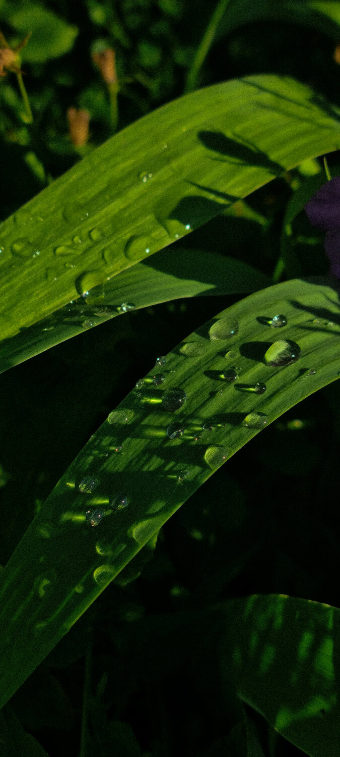 Photo #14083253