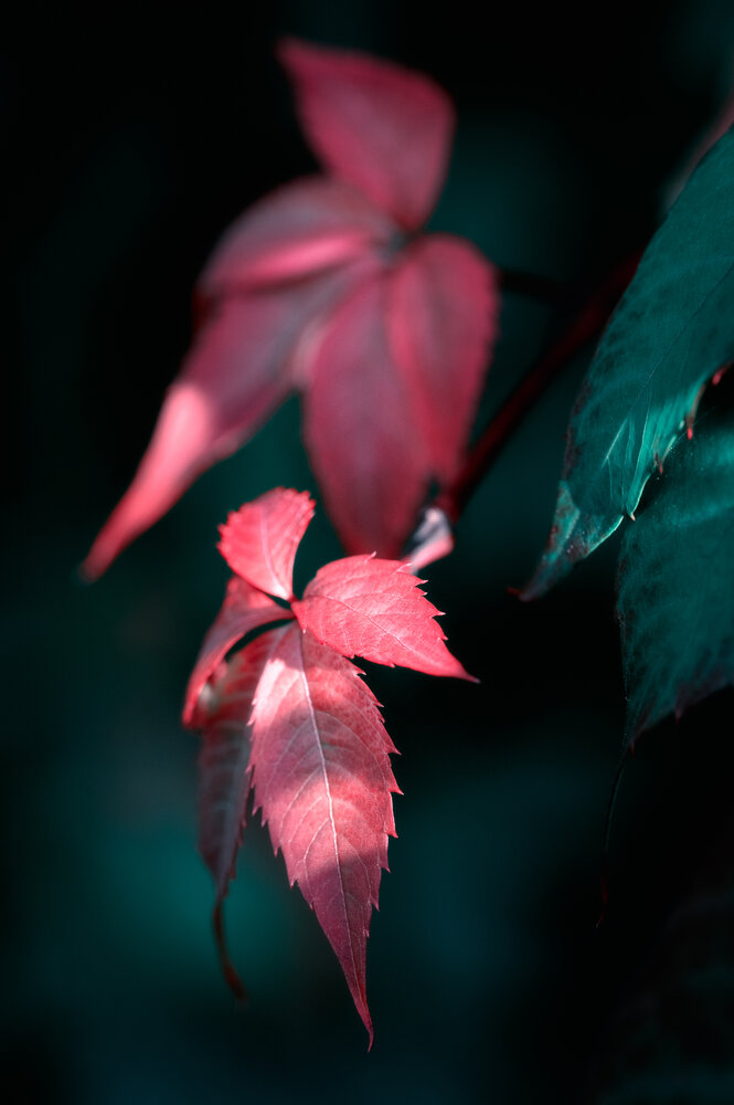 Photograph by Andrey Vasilev