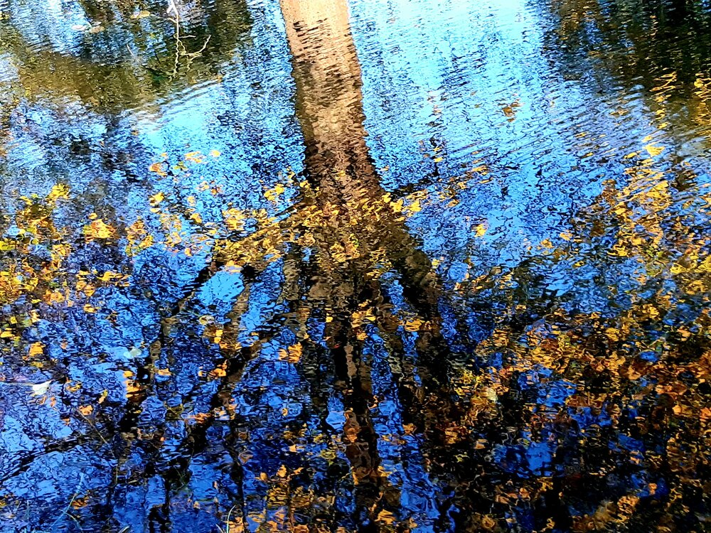 Photograph by Павел Алексеев