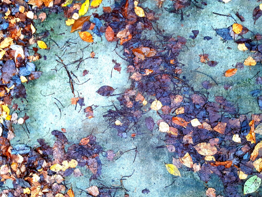 Photograph by Павел Алексеев