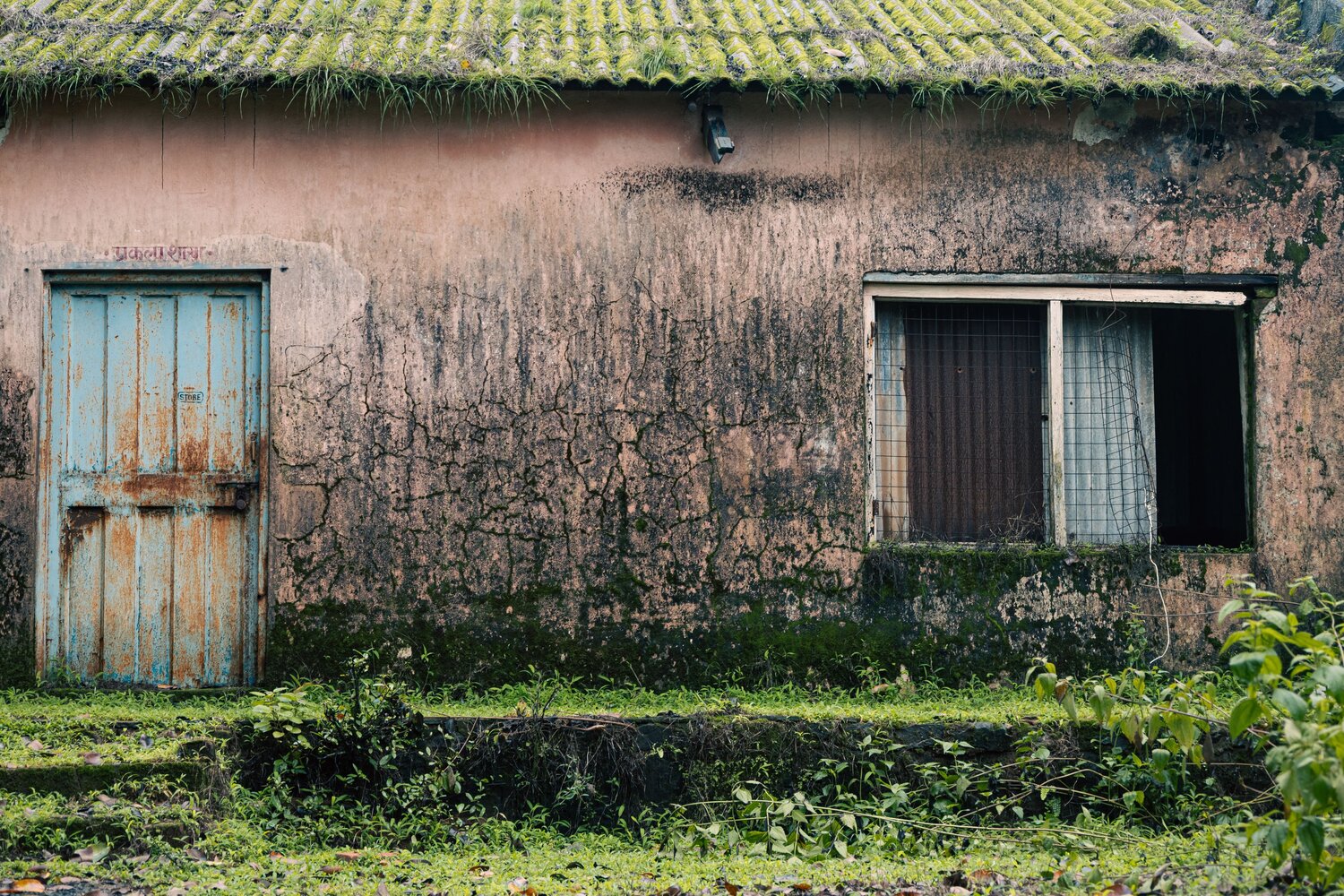 Photo #14083351