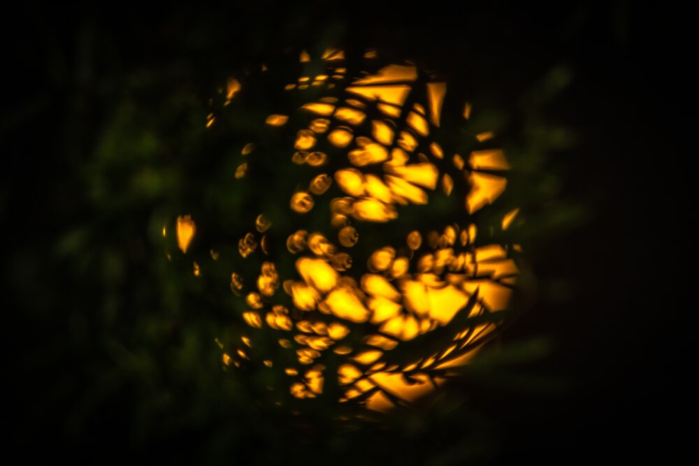 Photograph by Хабаров Сергей