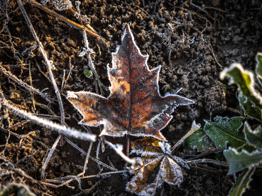 Photograph by Хабаров Сергей