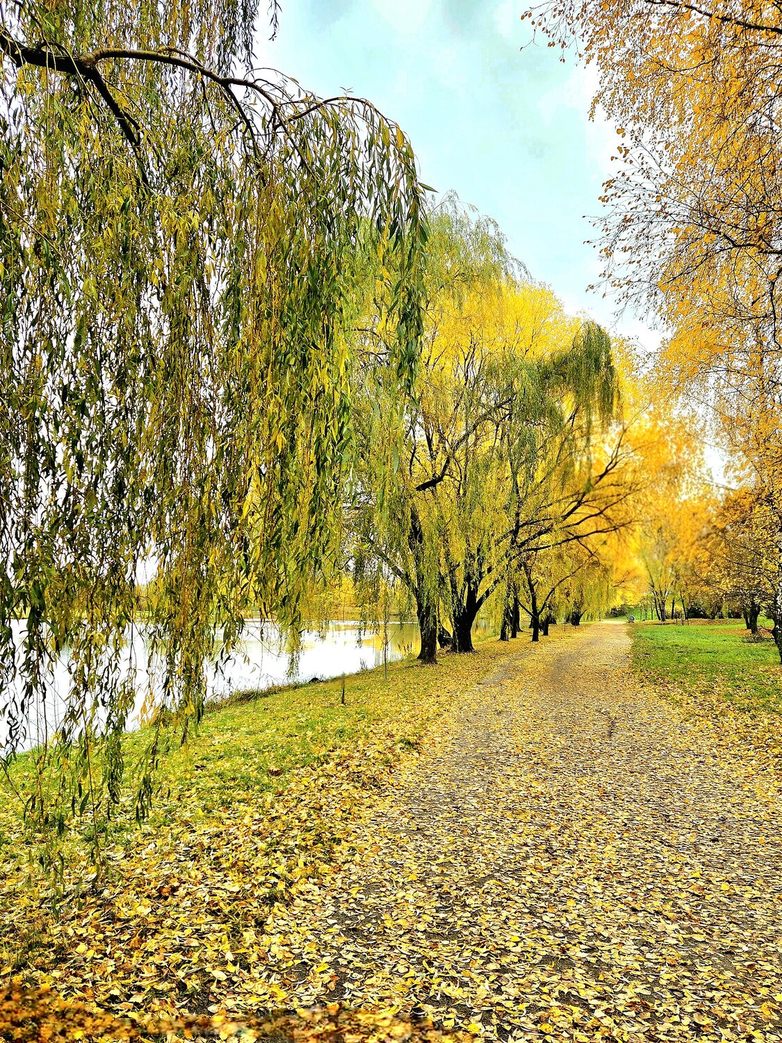 Photo #14083467