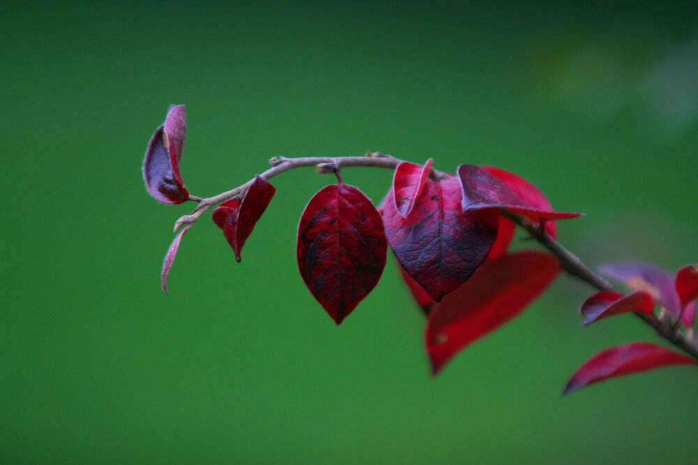 Photograph by Марина Виноградова
