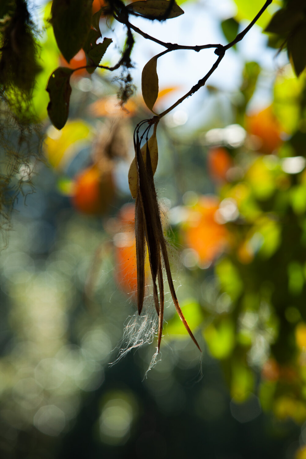 Photo #14083525