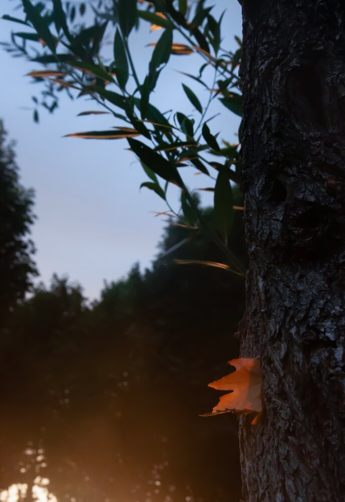Lonely