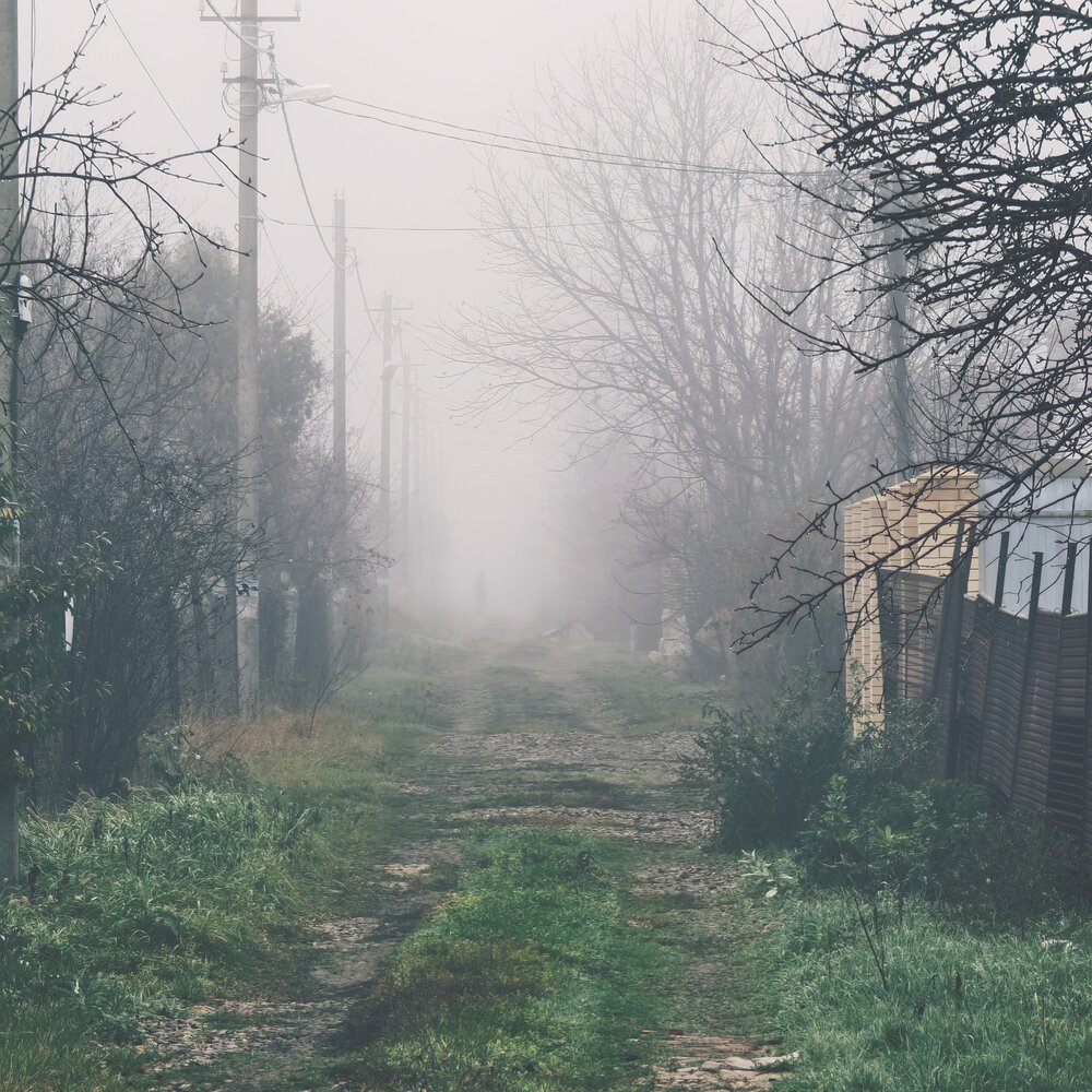 Photograph by Максим Сундеев