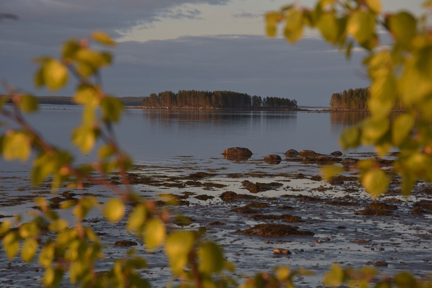 Photo #14083609