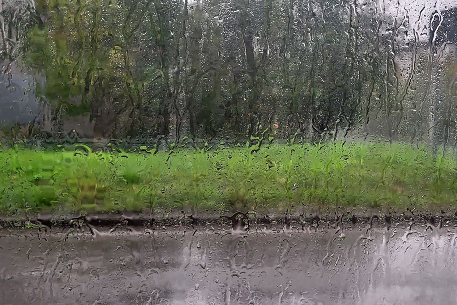 Photo #14083624