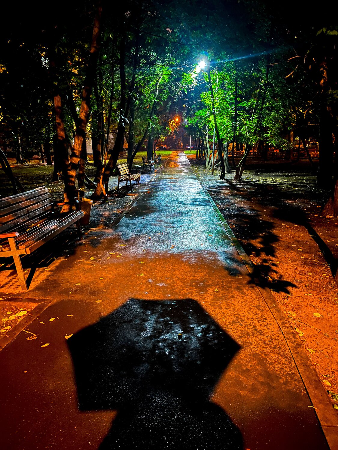 Photo #14083662