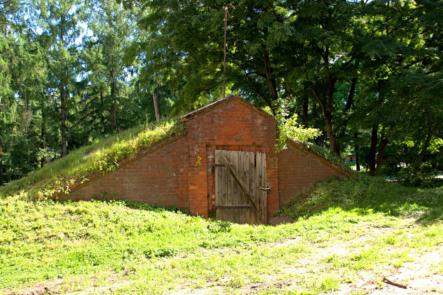 Photo #14083712