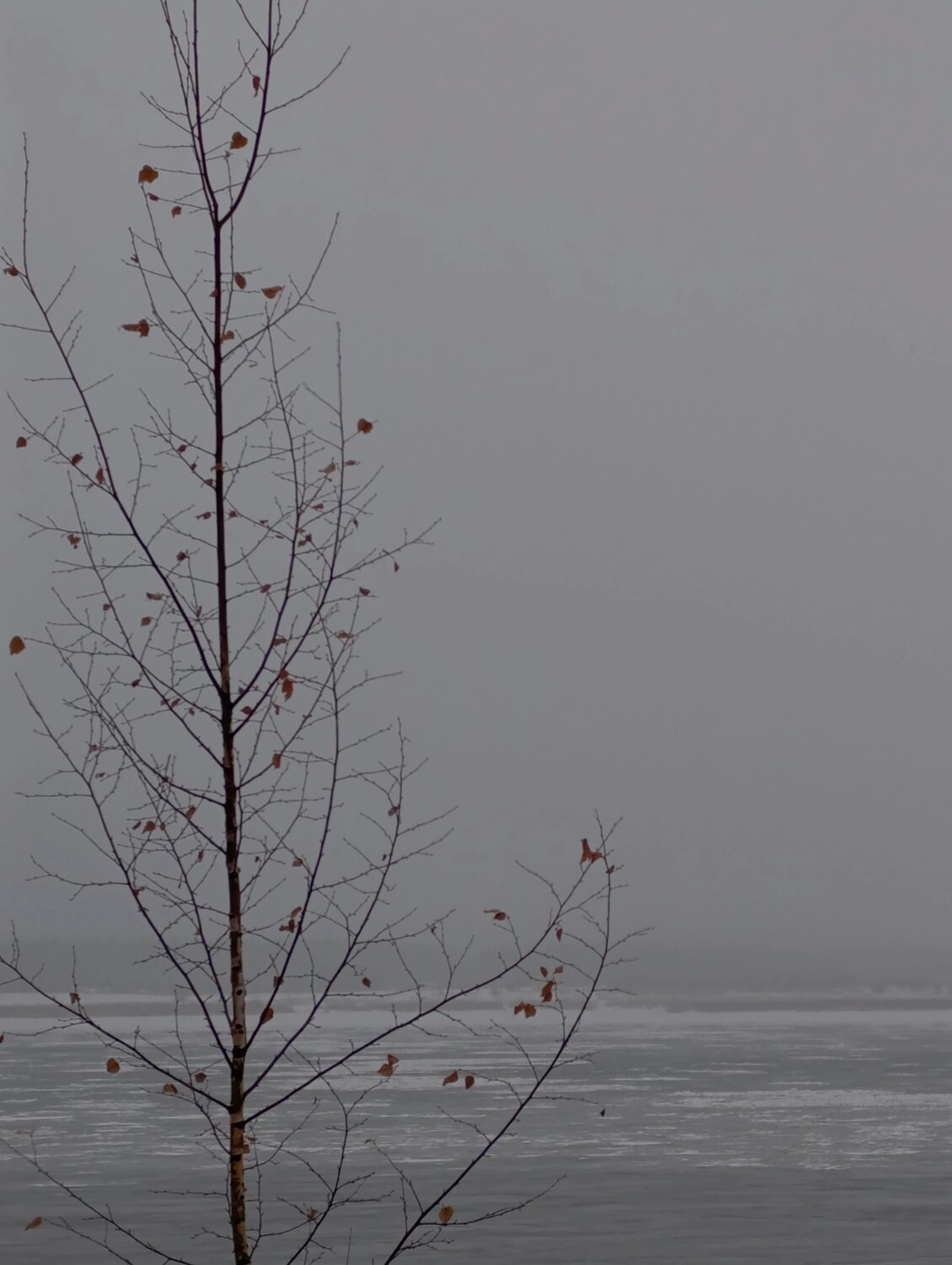 Photo #14083719