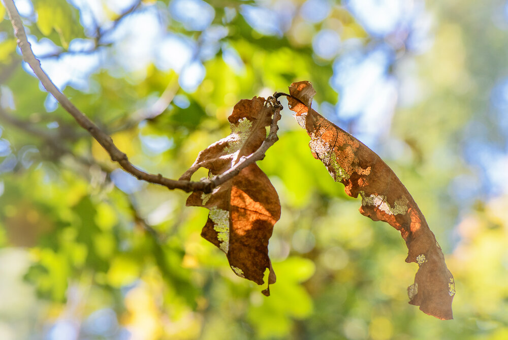 Photograph by Владислав Никишин
