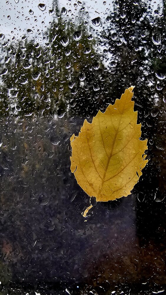 Photograph by Сергей Кириллин