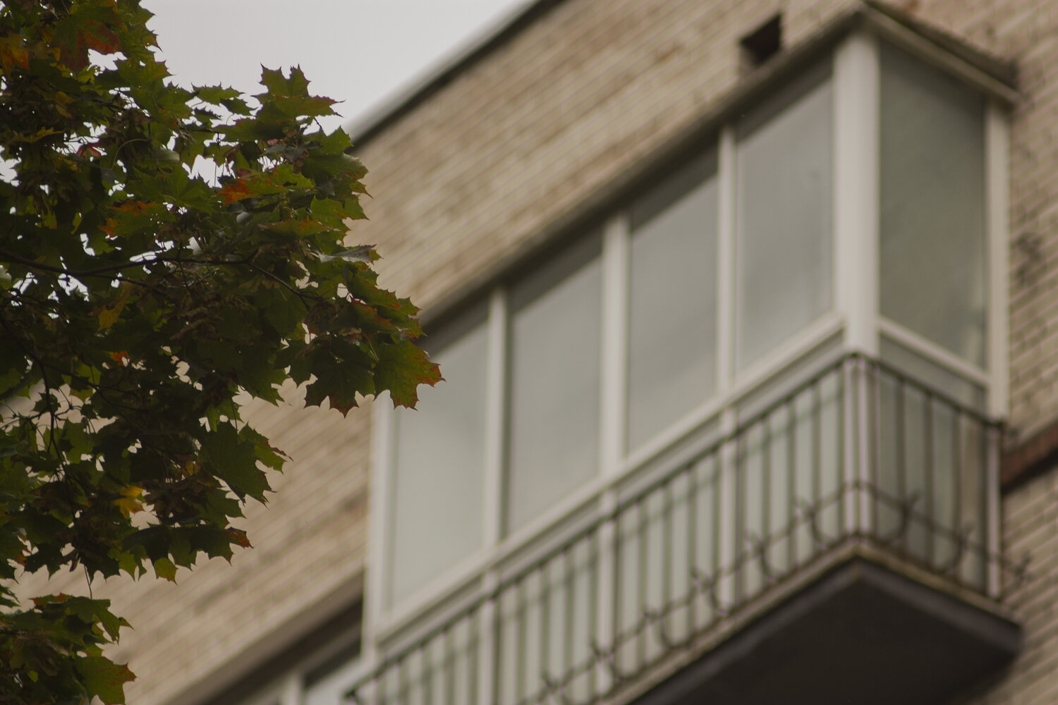 Photo #14083801