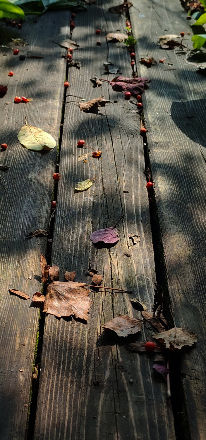 Photo #14083805