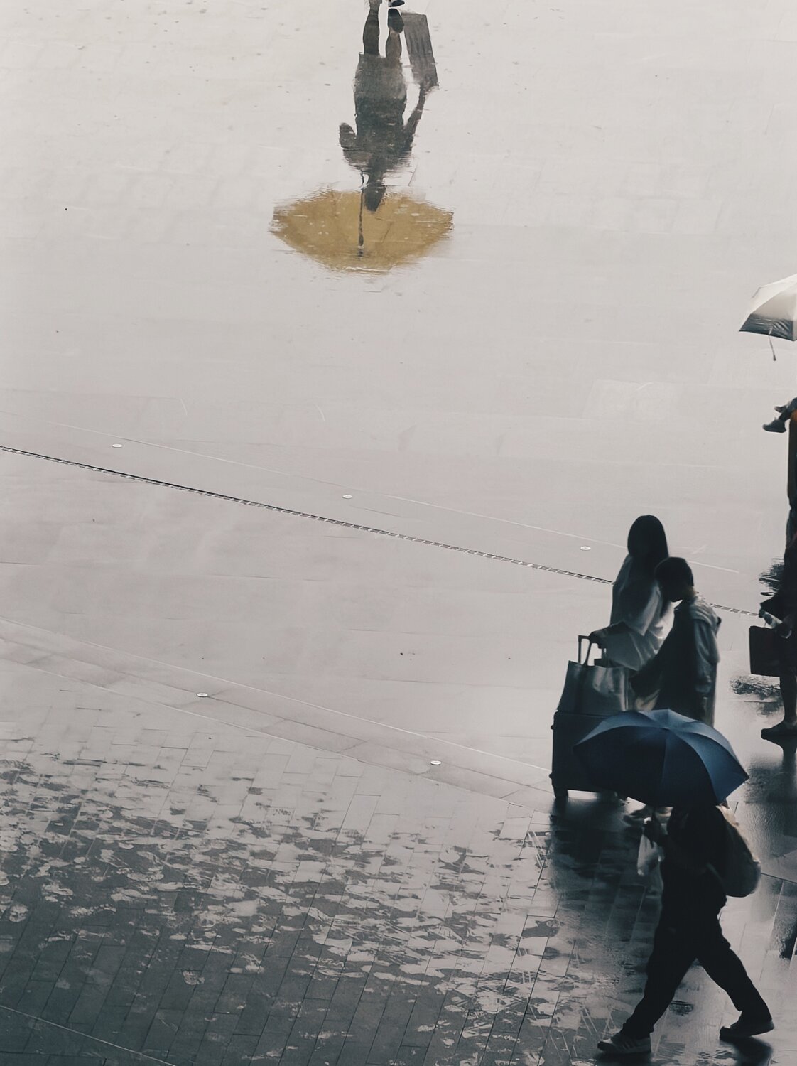 Photo #14083811