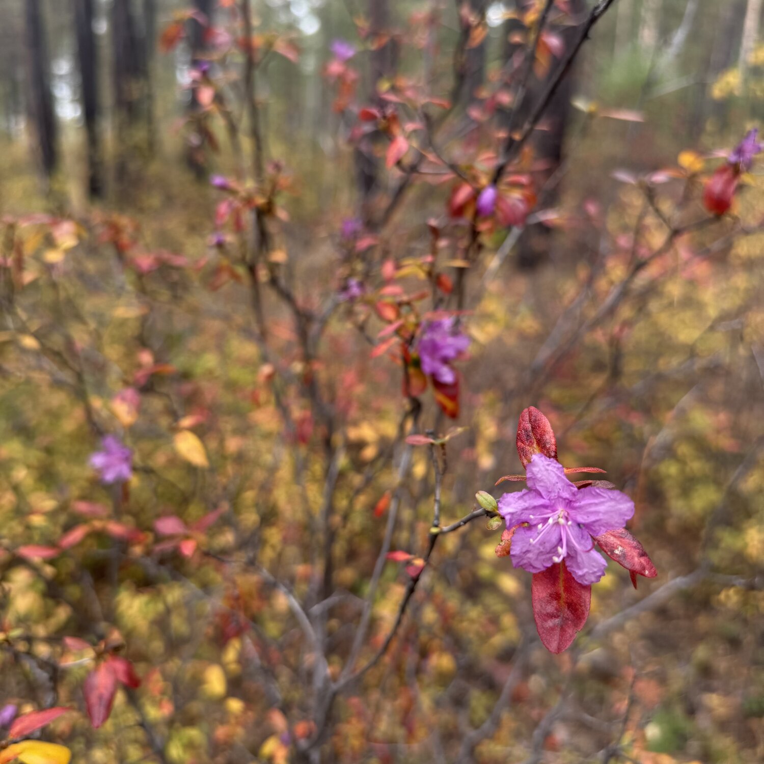 Photo #14083904