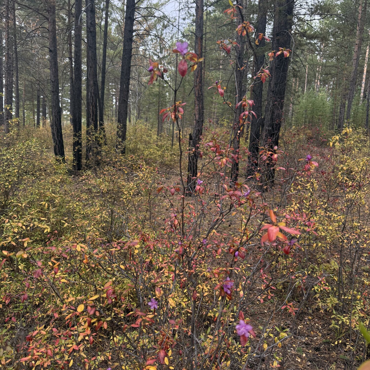Photo #14083905