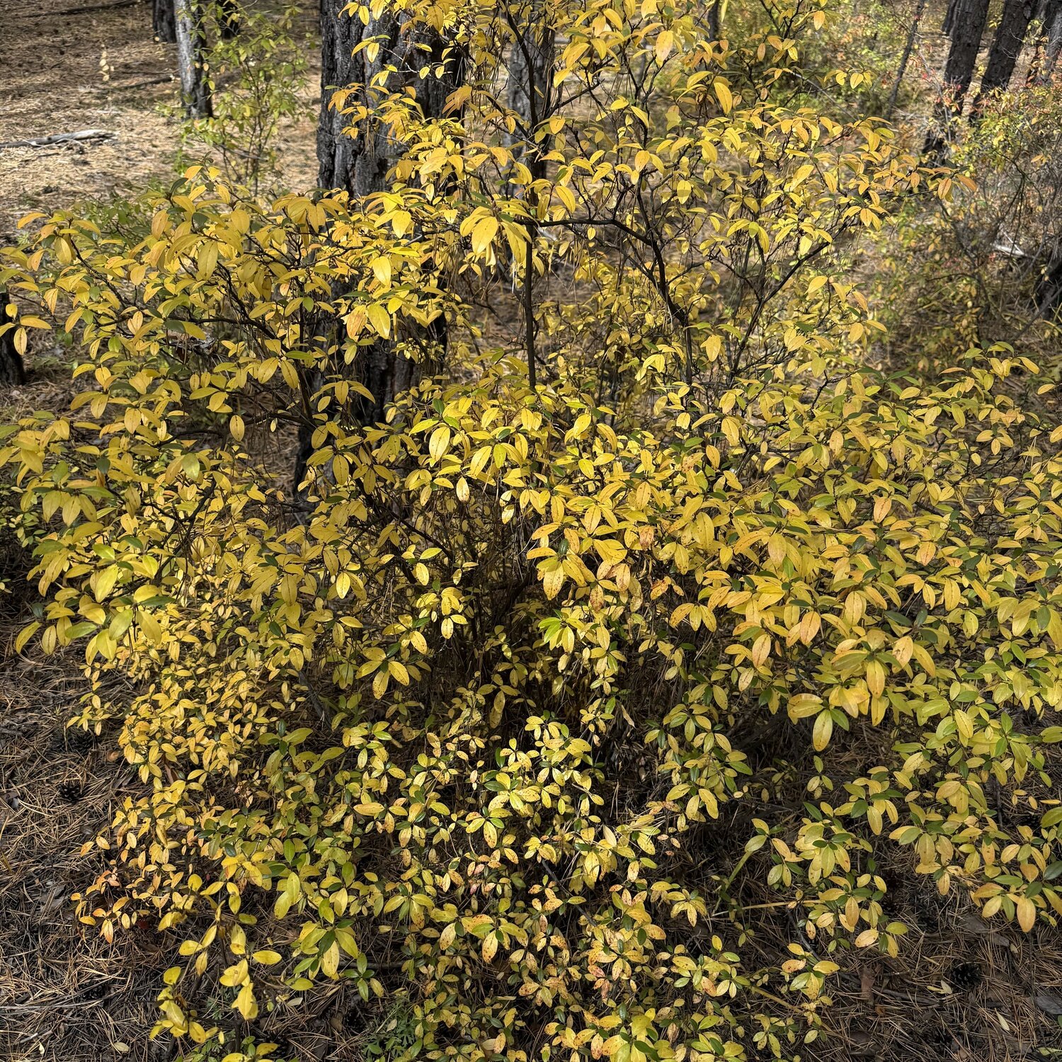Photo #14083907