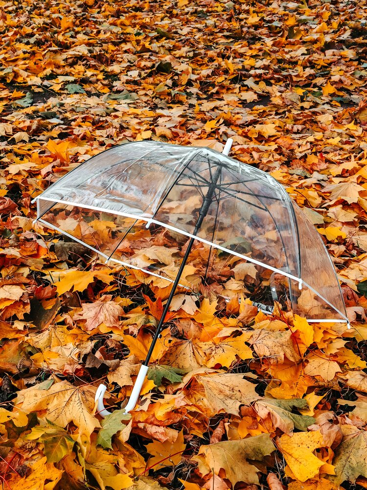 Photograph by Maria Stankevich
