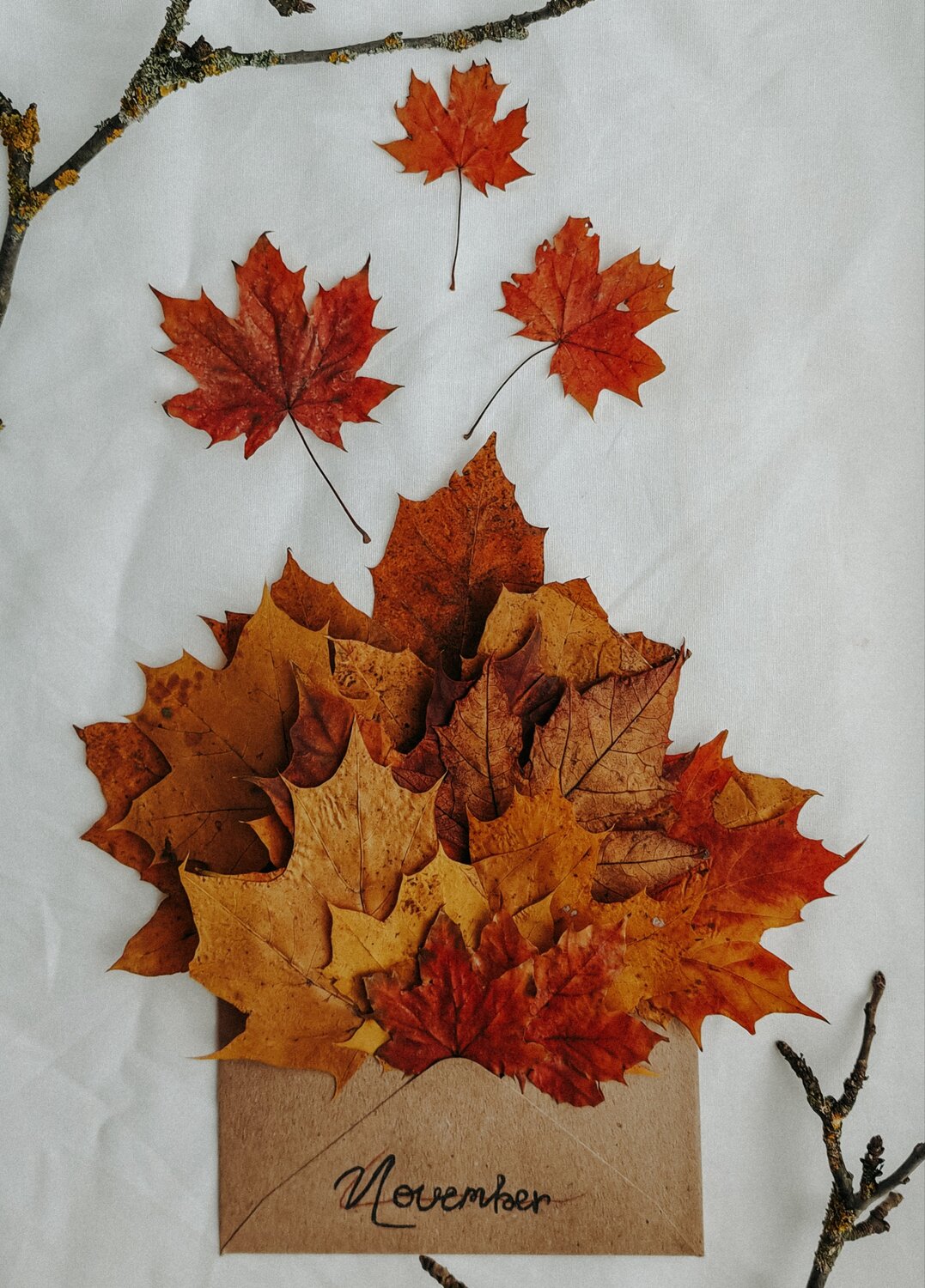Photo #14083947