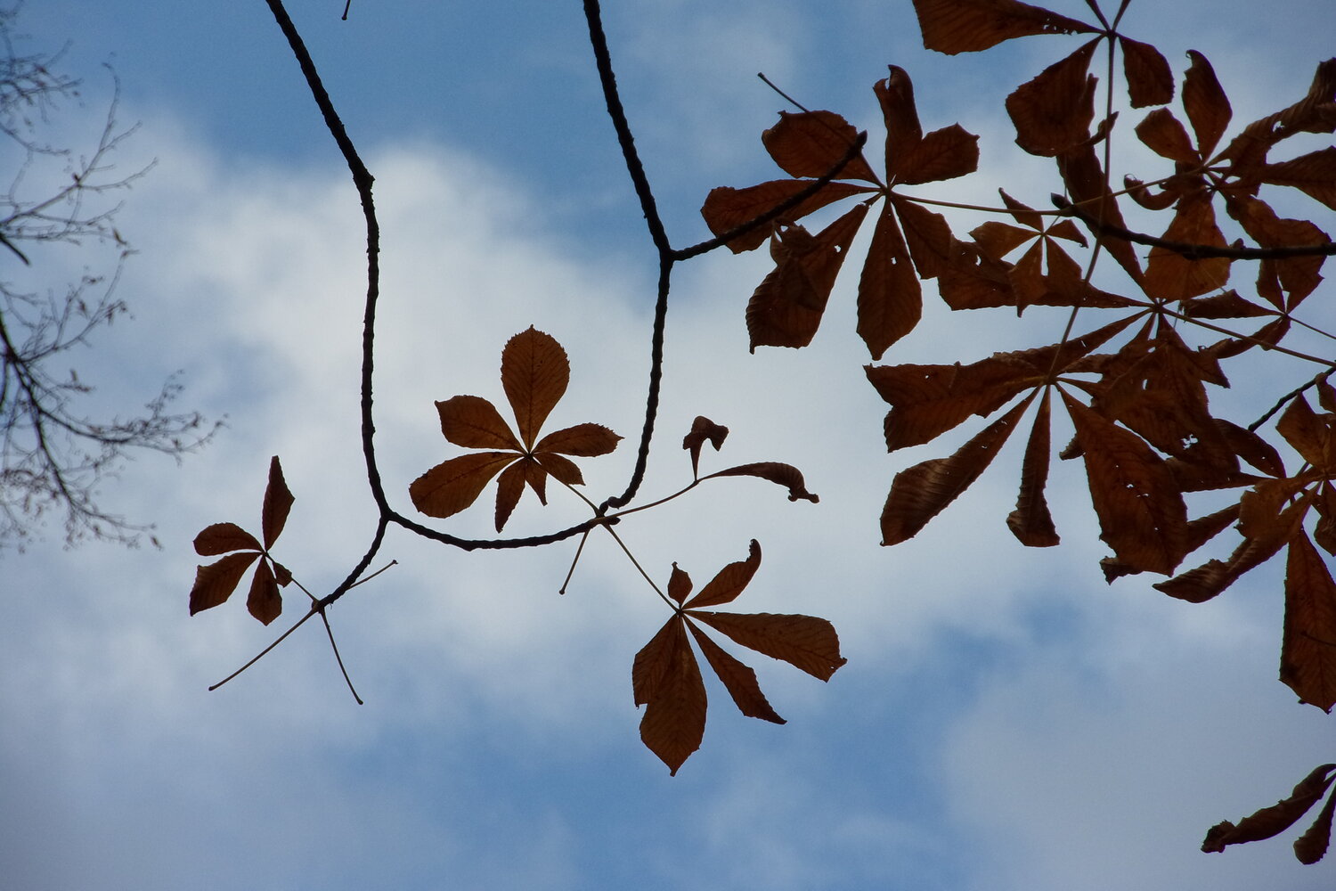Photo #14083975