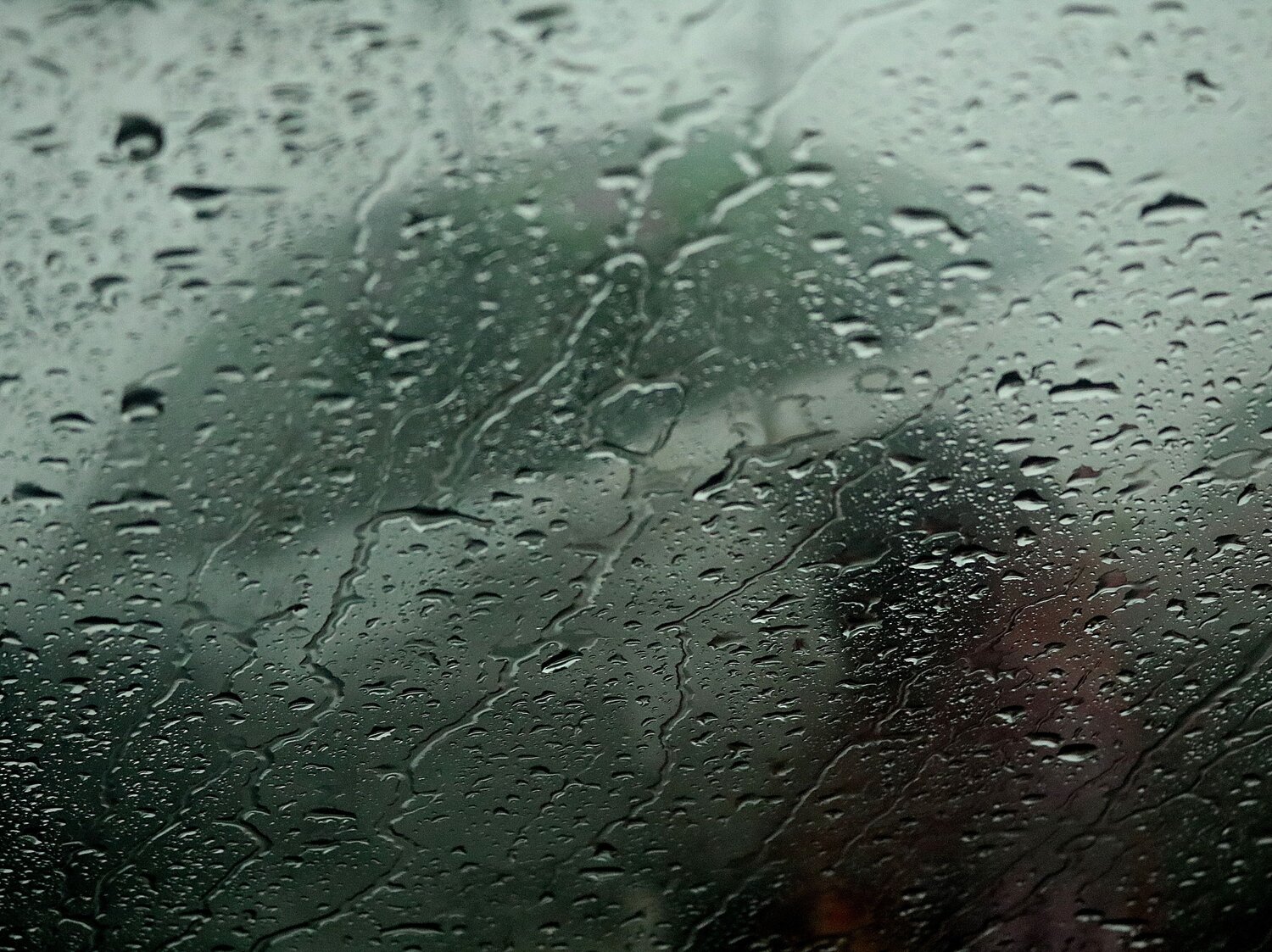 Photo #14083988
