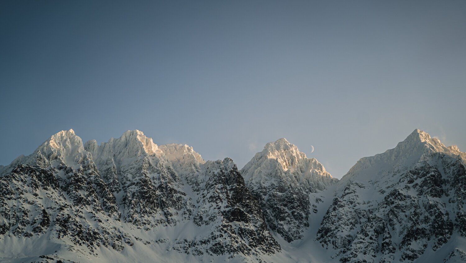 Photo #14084067