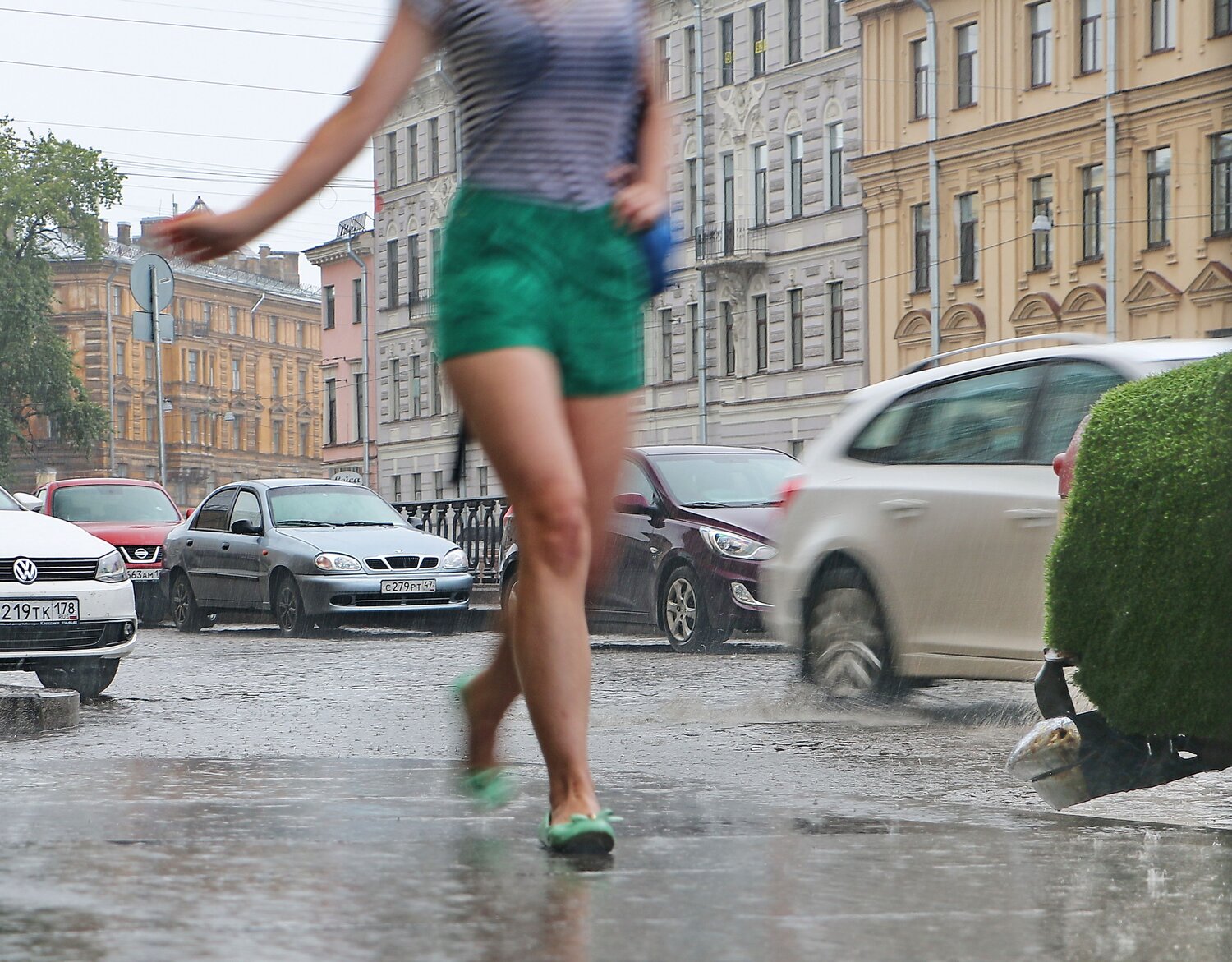 Photo #14084085