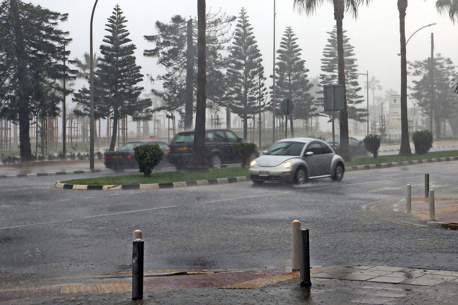 Photo #14084090