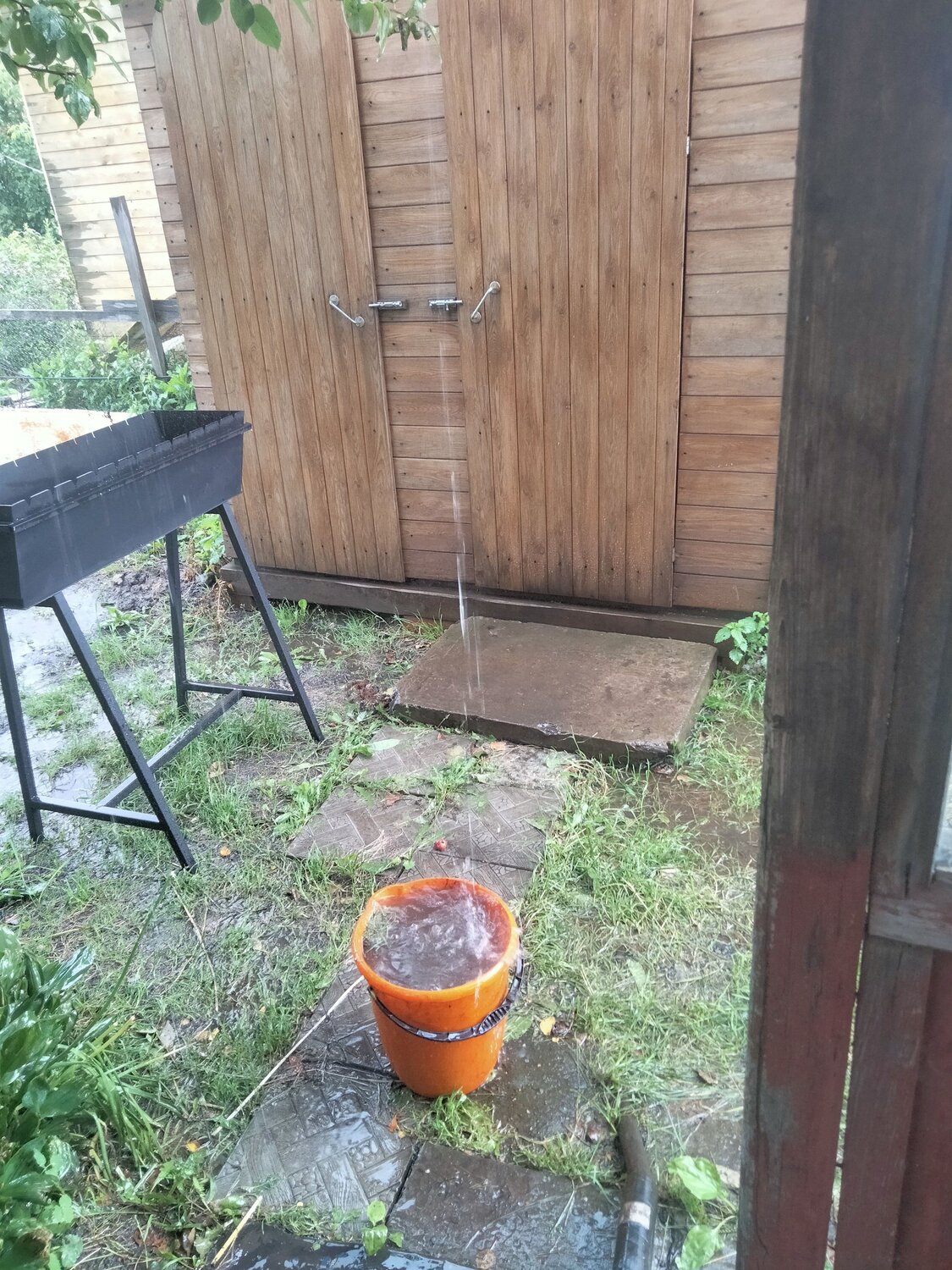 Photo #14084129