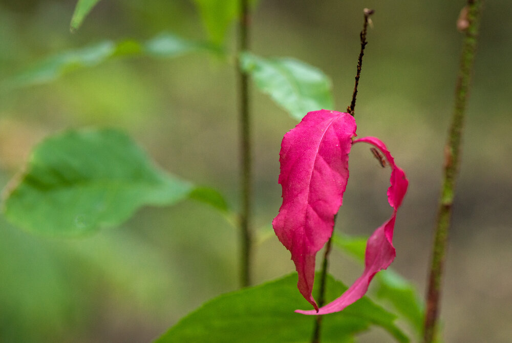 Photograph by Владислав Никишин