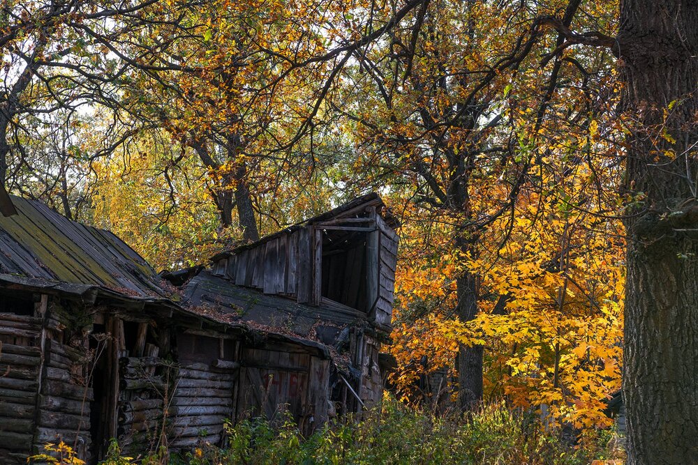Photograph by Владислав Никишин