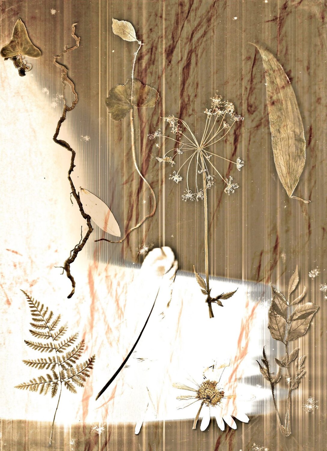 Photo #14084182