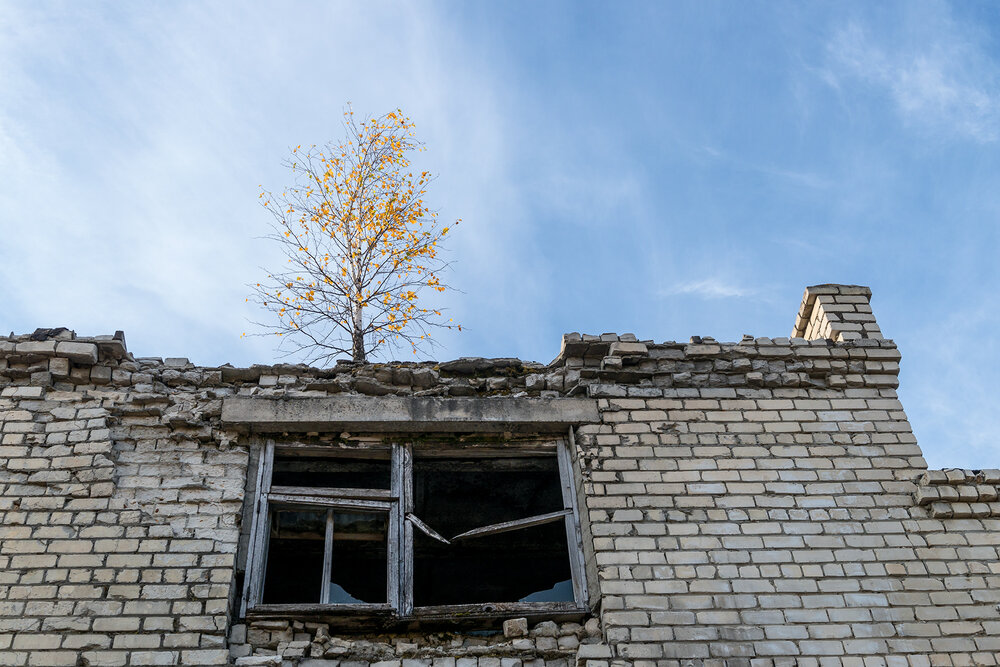 Photograph by Владислав Никишин