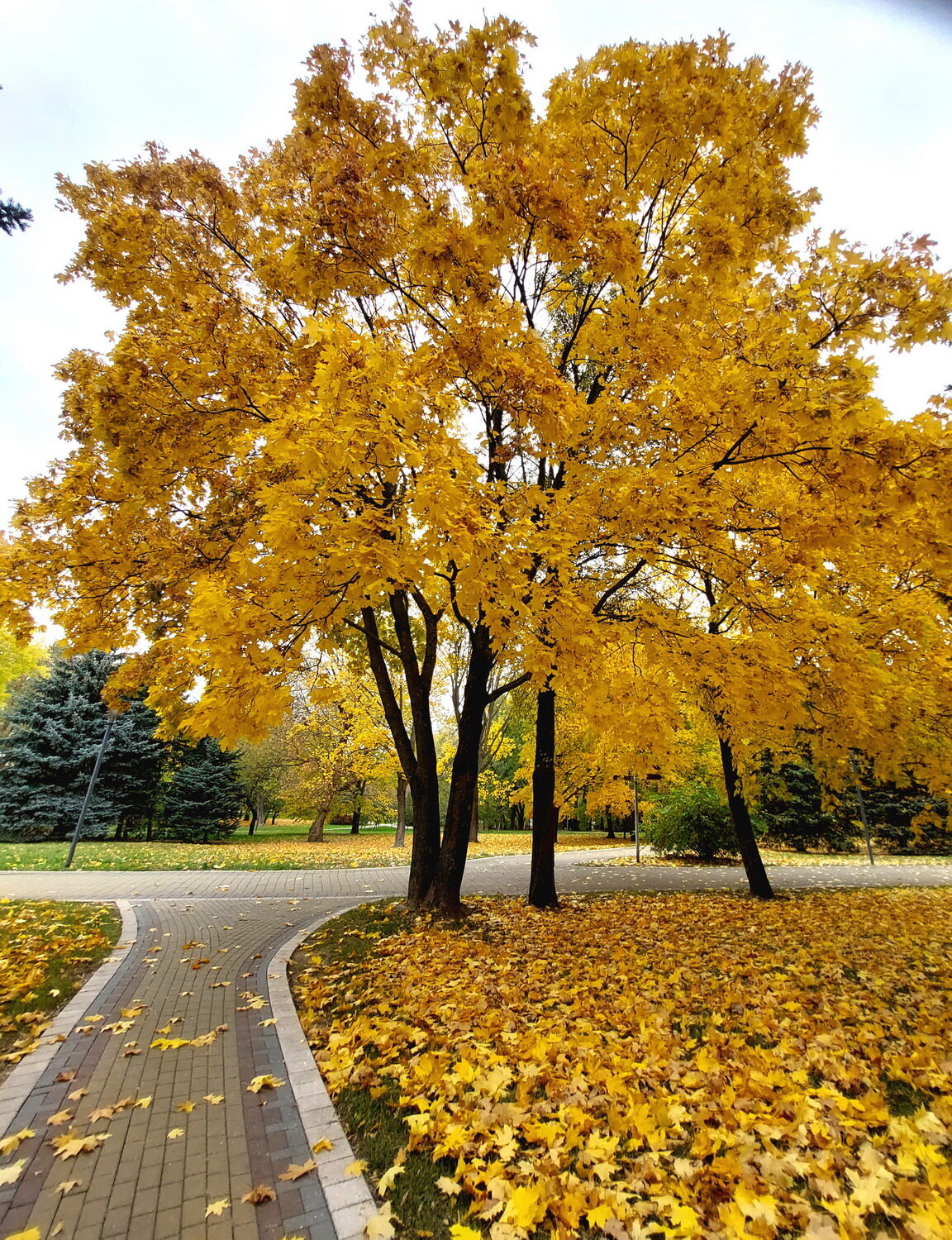 Photo #14084190