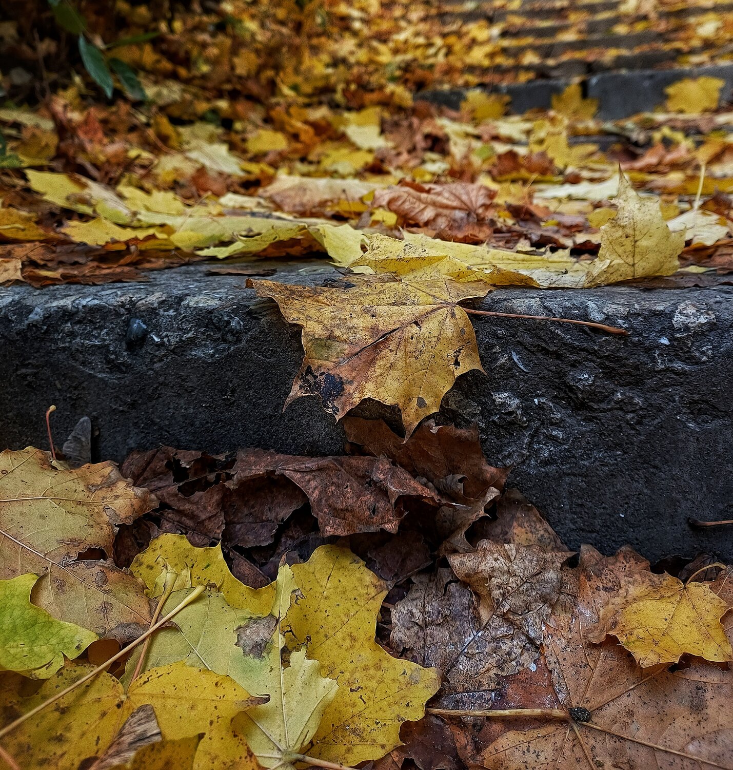 Photo #14084234